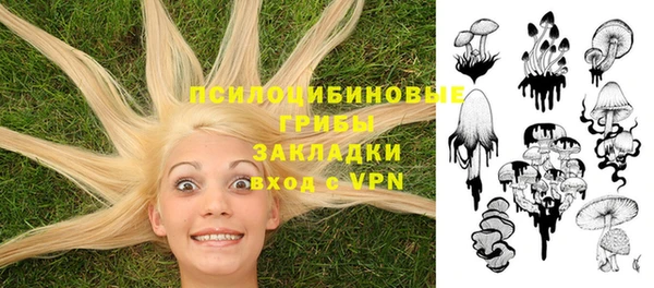 a pvp Алексеевка