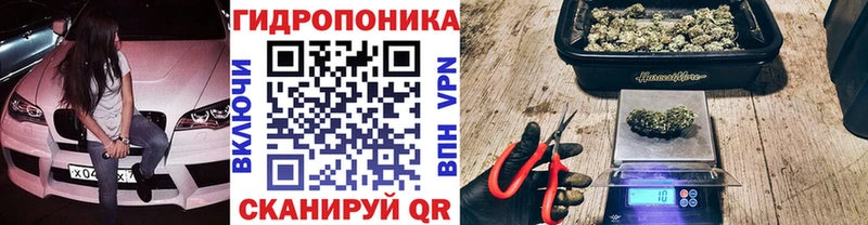 Бошки Шишки марихуана  Армянск 